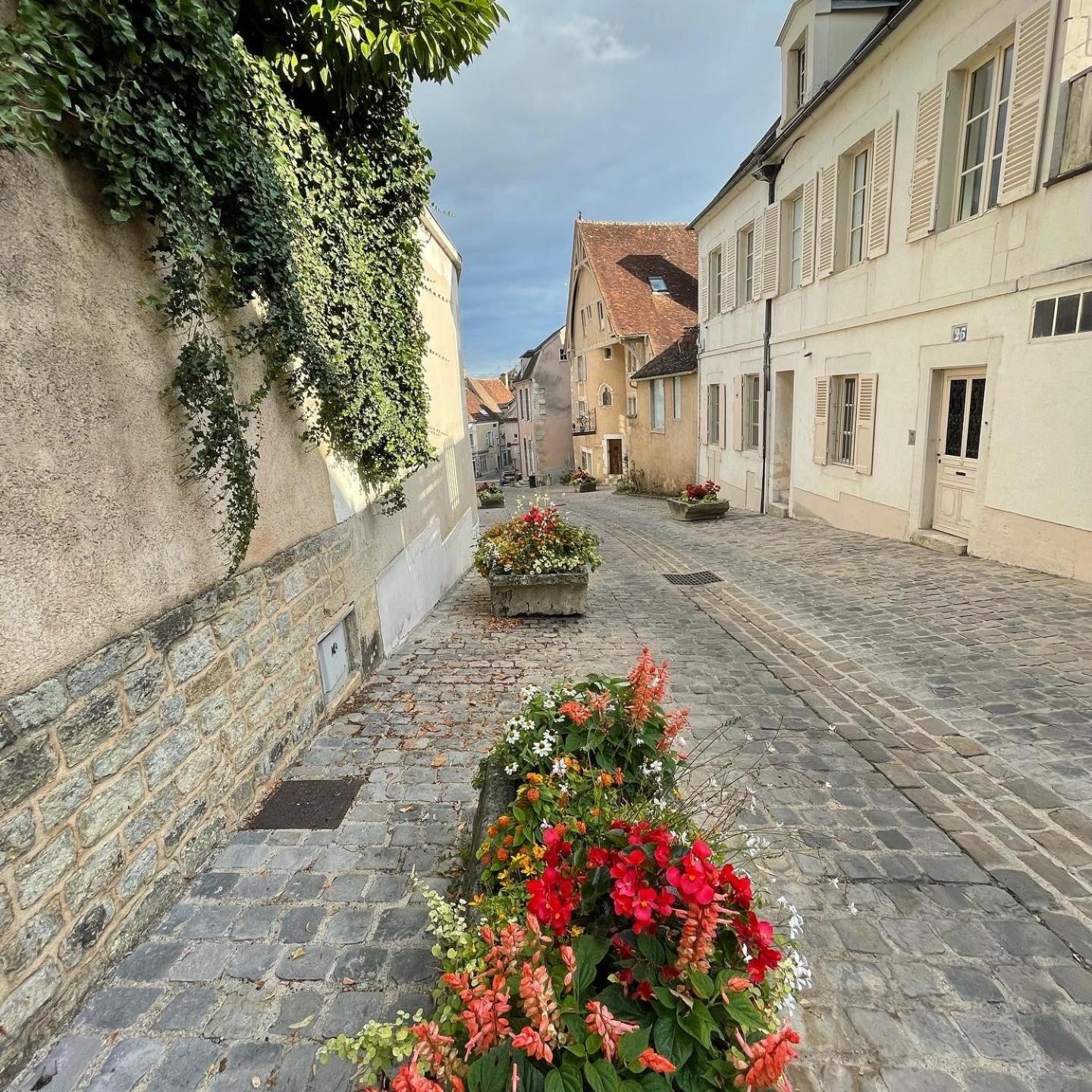 Le Pigeonnier Centre Historique Auxerre Apartman Kültér fotó